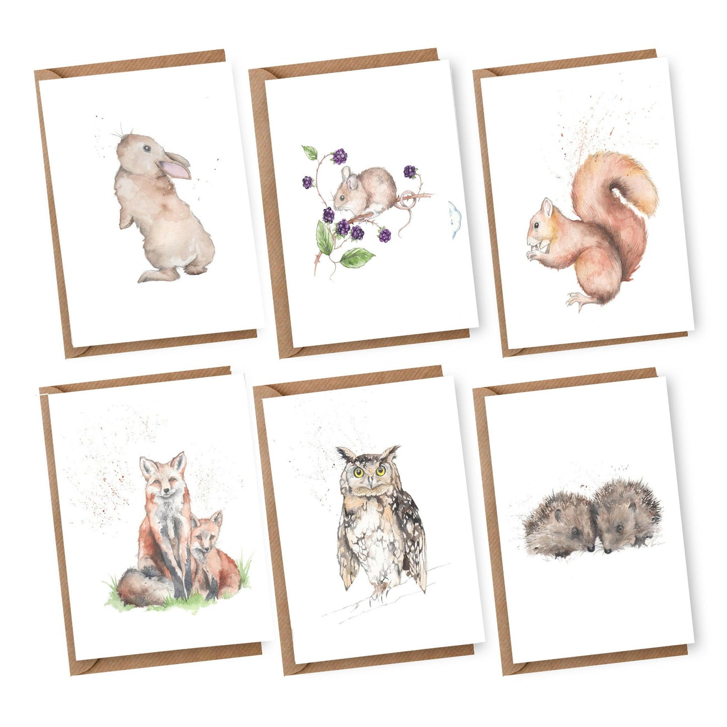 Animal Note Cards - Boxed Wildlife' pack of assorted A6 cards - Crumble and Core