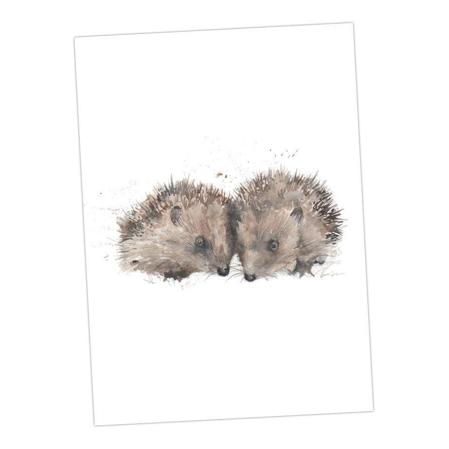 Animal Note Cards - Boxed Wildlife' pack of assorted A6 cards - Crumble and Core