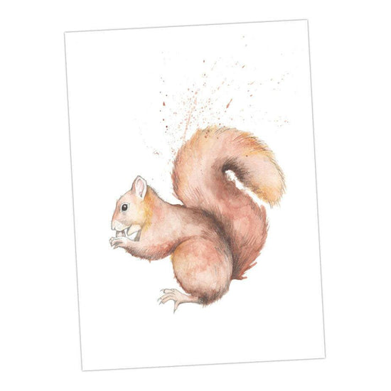 Animal Note Cards - Boxed Wildlife' pack of assorted A6 cards - Crumble and Core