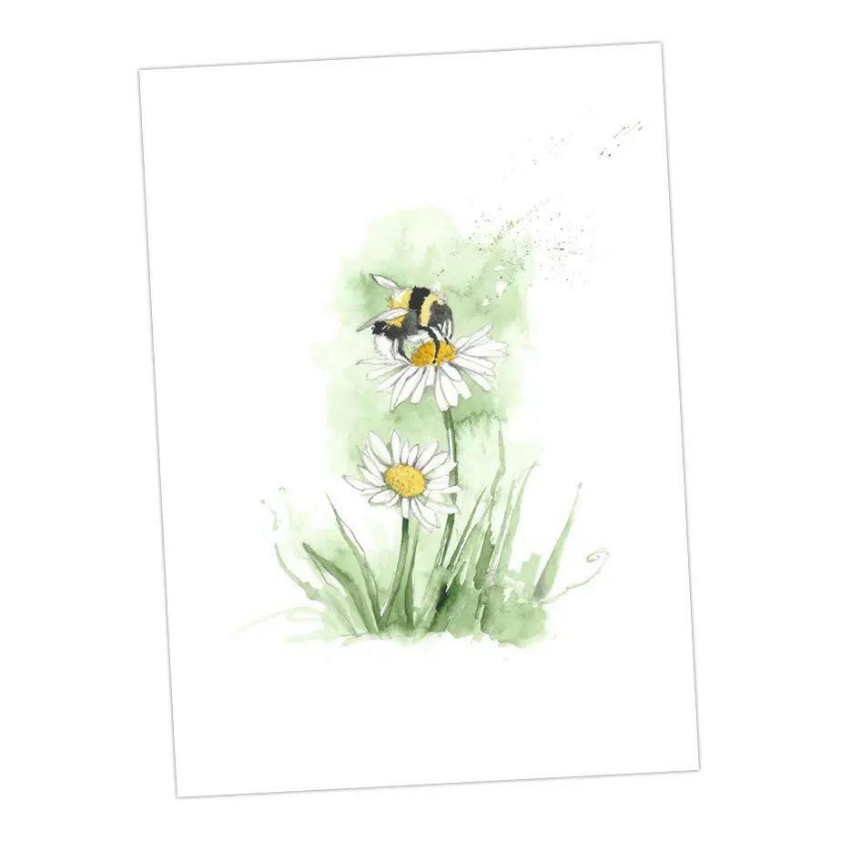 Boxed 'Bumble Bee' pack of assorted A6 cards - Crumble and Core