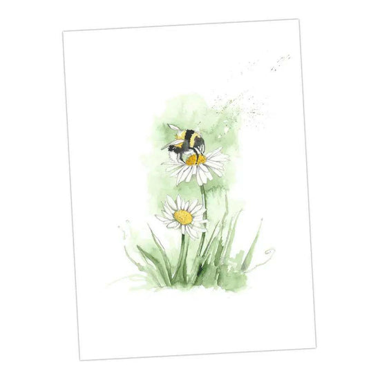 Boxed 'Bumble Bee' pack of assorted A6 cards - Crumble and Core