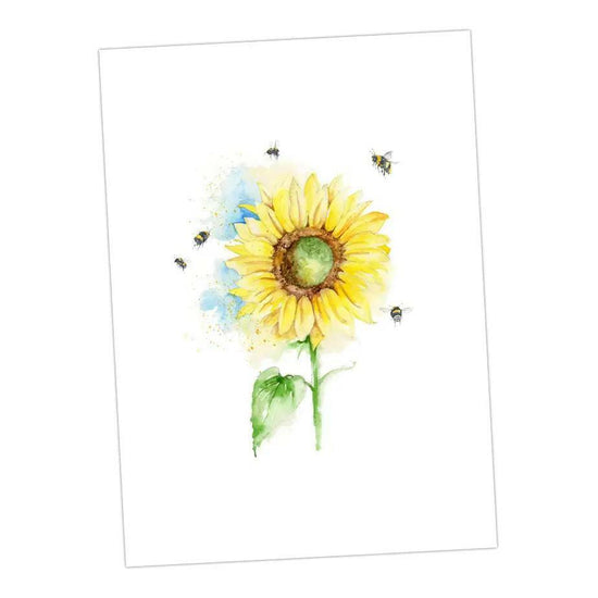 Boxed 'Bumble Bee' pack of assorted A6 cards - Crumble and Core