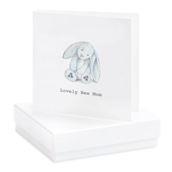 Sterling Silver Stud Earrings in Gift Box Ideal Gift for New Mums - Crumble and Core