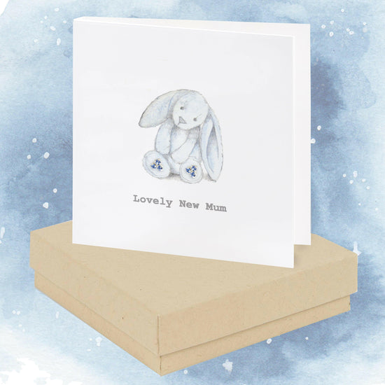 Sterling Silver Stud Earrings in Gift Box Ideal Gift for New Mums - Crumble and Core