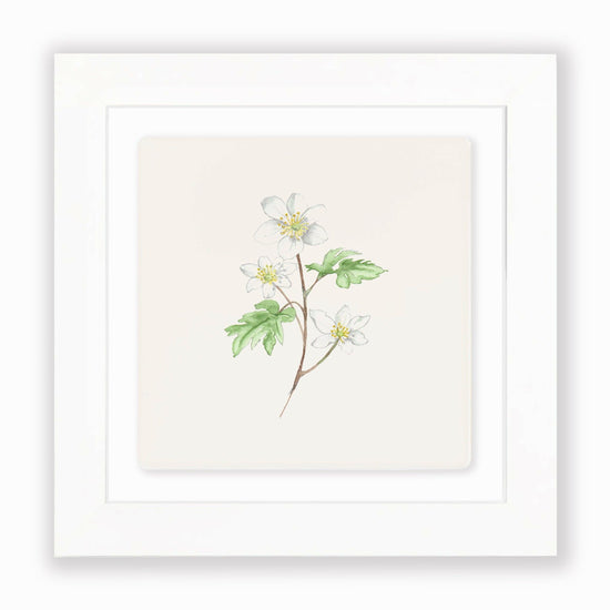 Hand Finished Ceramic Framed Tile Print - Anenome Design - Home Decor - Gifts for Her - Crumble and Core