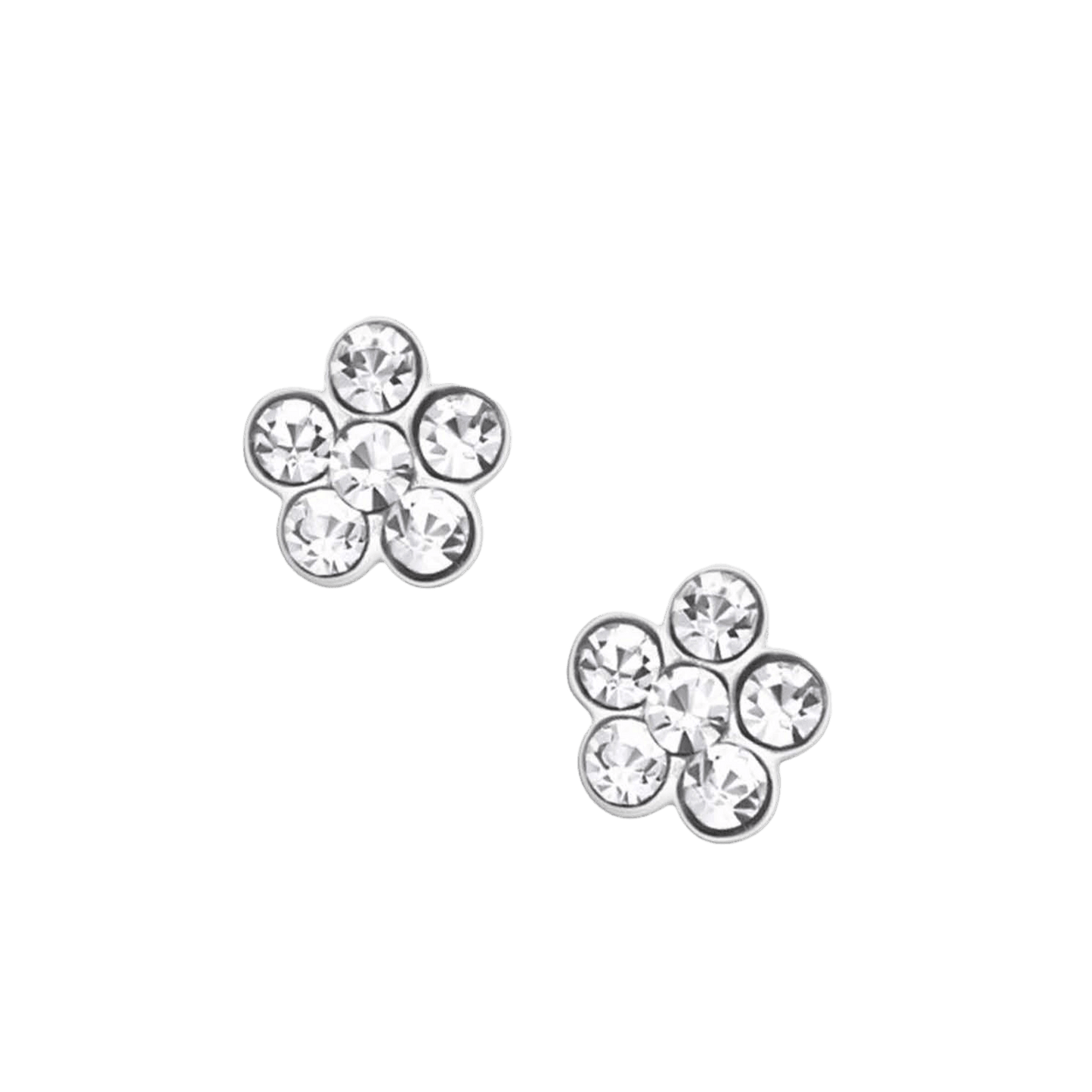 Sterling Silver Guinea Pig Stud Earrings on Greeting Card - Ideal Gift for Animal Lovers - Crumble and Core