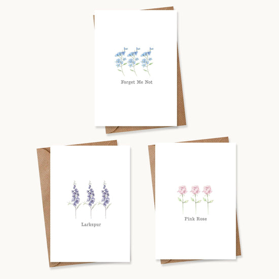 Boxed 'Flower' pack of assorted A6 cards - Crumble and Core