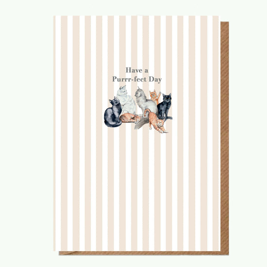 Ceramic Keepsake Hanging Decoration - A6 Birthday Greeting Card with Ceramic Keepsake - Cats Happy Birthday Birthday Card - Crumble and Core