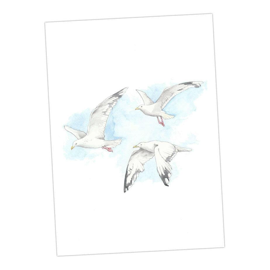 Boxed 'Seaside' pack of assorted A6 cards - Crumble and Core