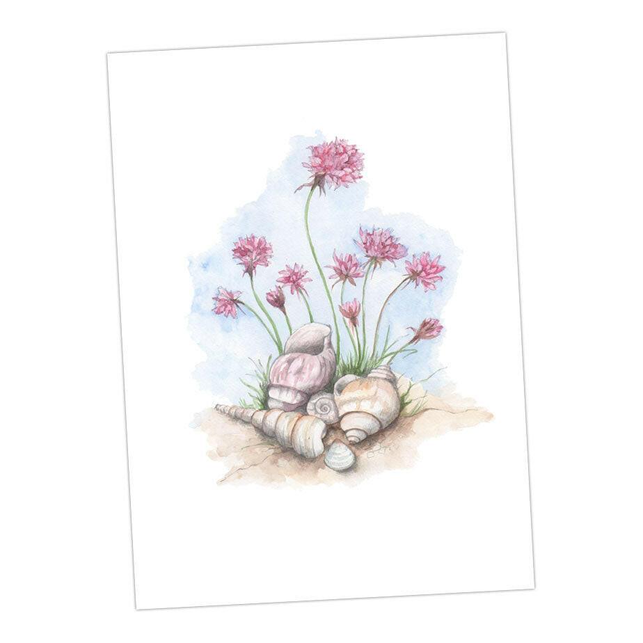 Boxed 'Seaside' pack of assorted A6 cards - Crumble and Core