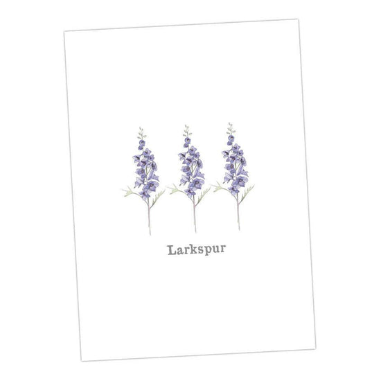 Boxed 'Flower' pack of assorted A6 cards - Crumble and Core