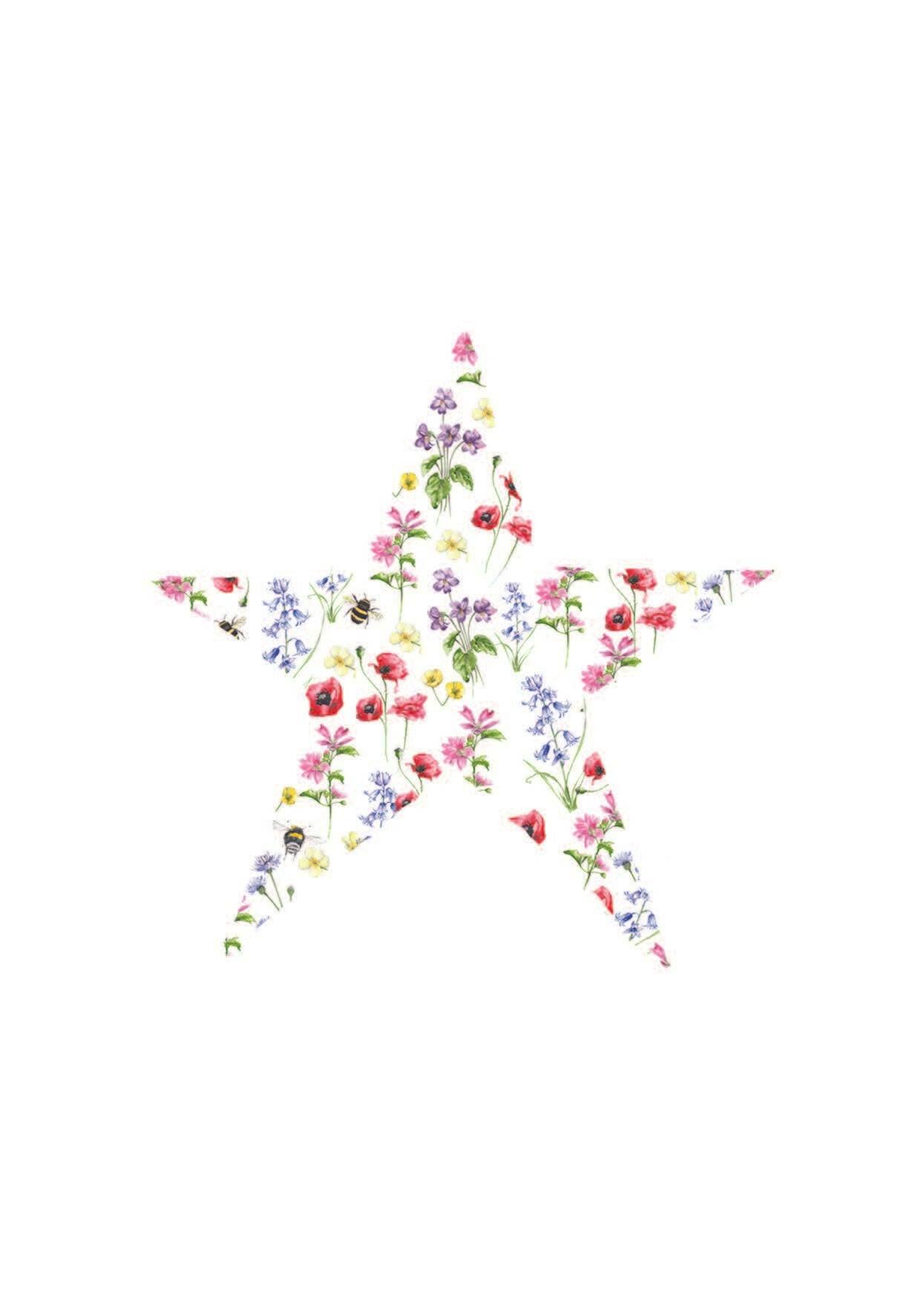 Boxed 'Floral Cut Out' pack of assorted A6 cards - Crumble and Core