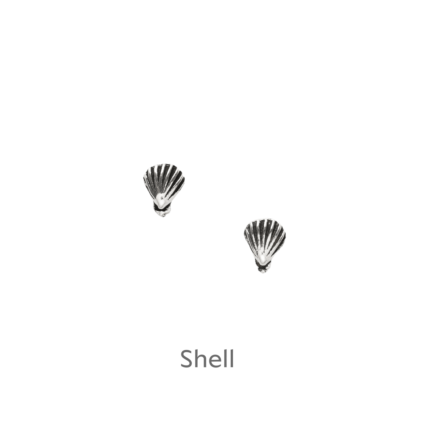 Sterling Silver Shell Stud Earrings on Beach Huts Card - Perfect Gift Boxed with Card Included - Crumble and Core